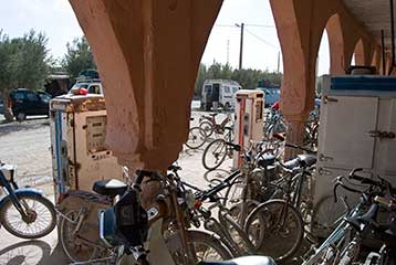 Skoura - Un des principaux moyens de transport au Maroc.